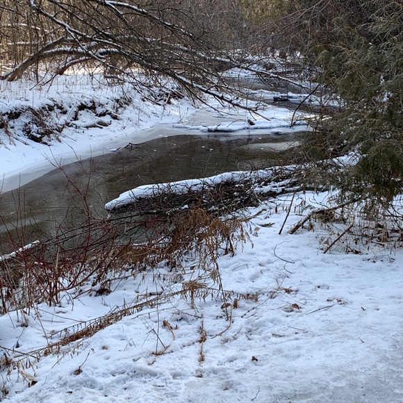 Meet your Posher, Nancy - Picture 1 of 1